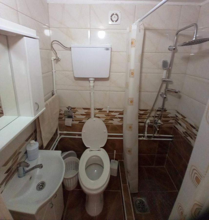 Smestaj Stanisavljevic Soko Banja Exterior foto