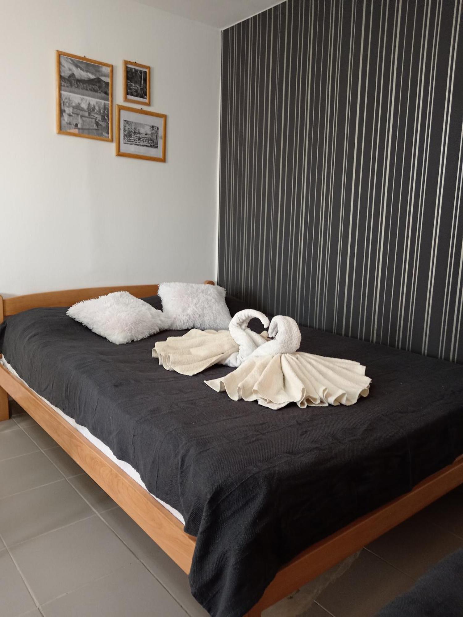 Smestaj Stanisavljevic Soko Banja Habitación foto